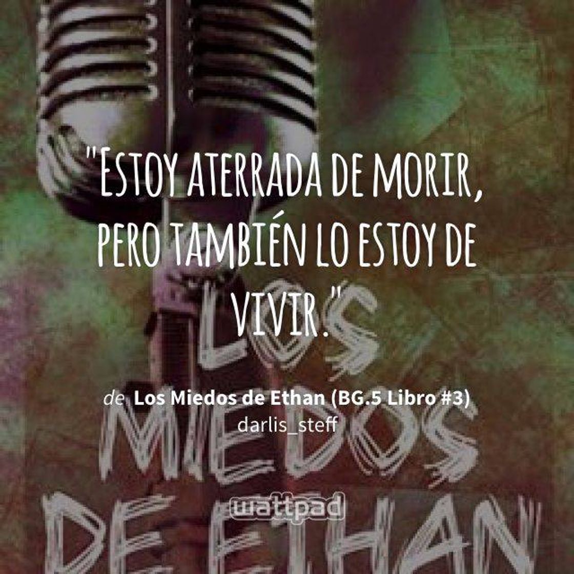 Book Los Miedo de Ethan.