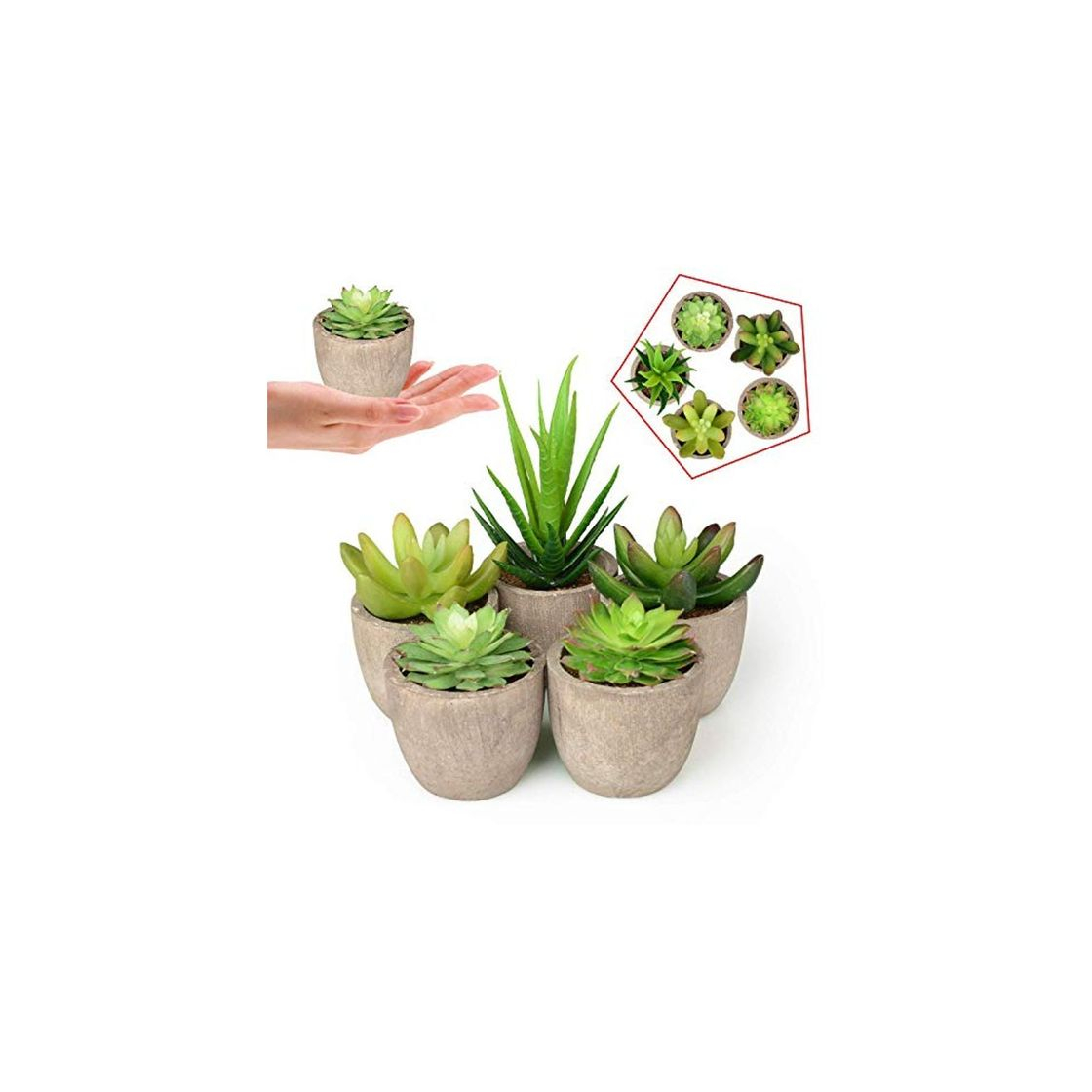 Social Plantas Suculentas Artificiales 5PCS Jardinera Suculenta Falso Plantas de Cactus Faux en