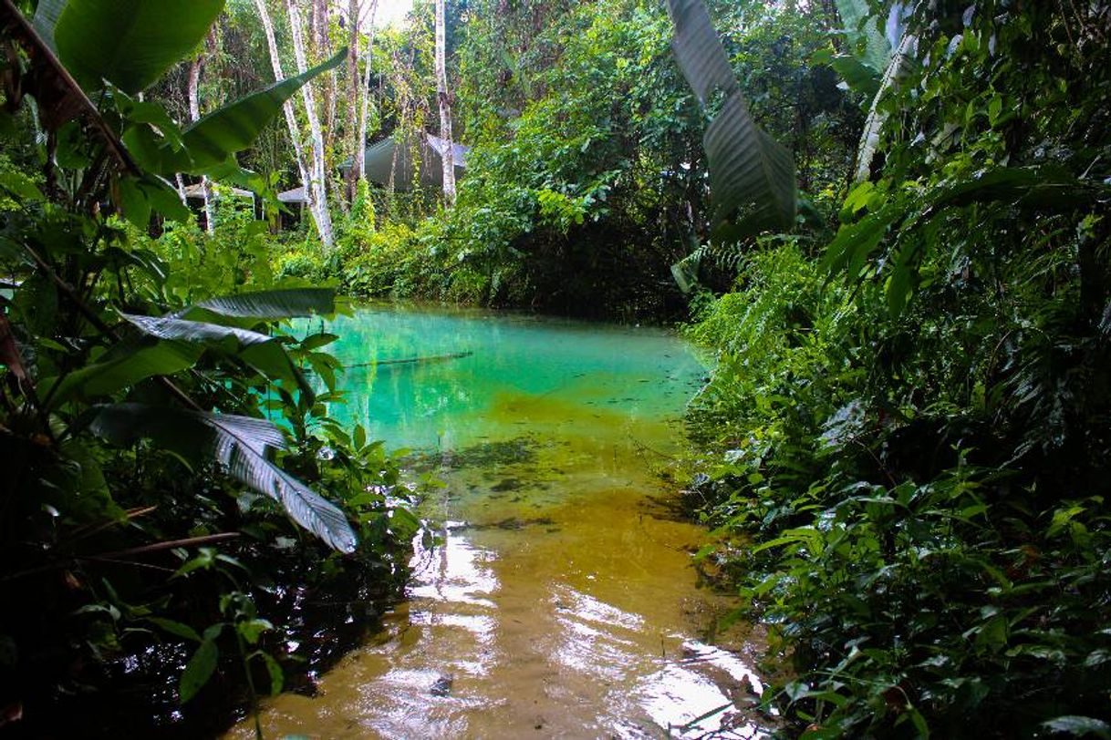 Place Fazenda Borbulha