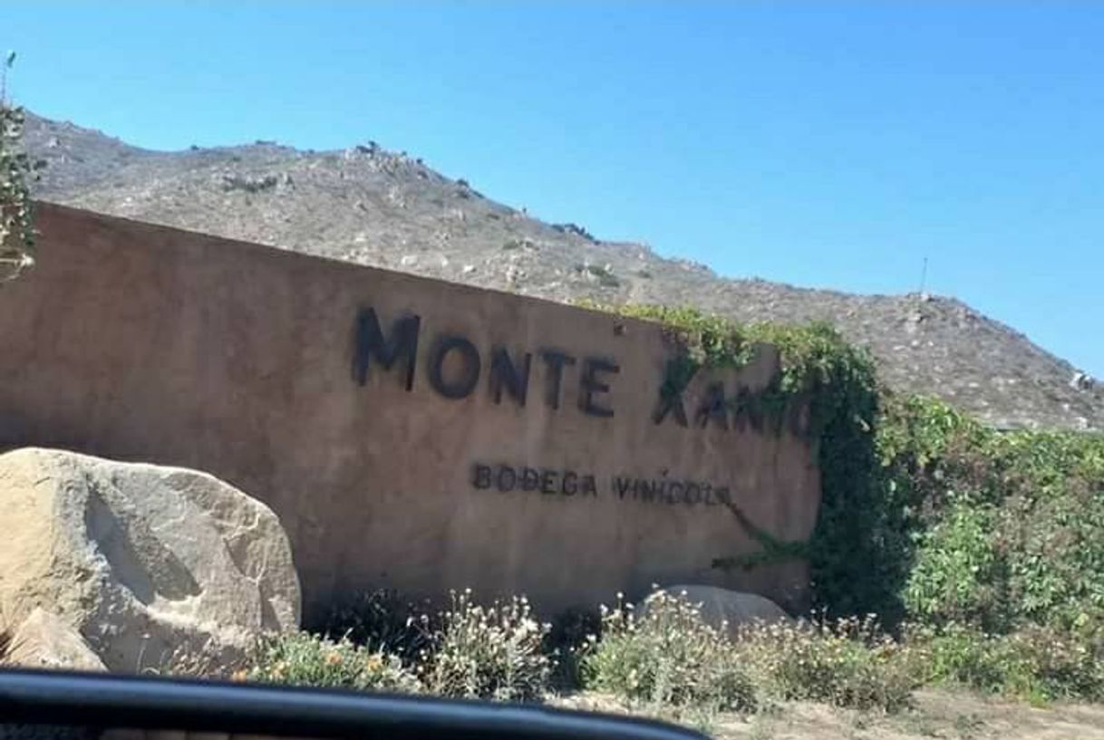 Lugar Monte Xanic Sauzal