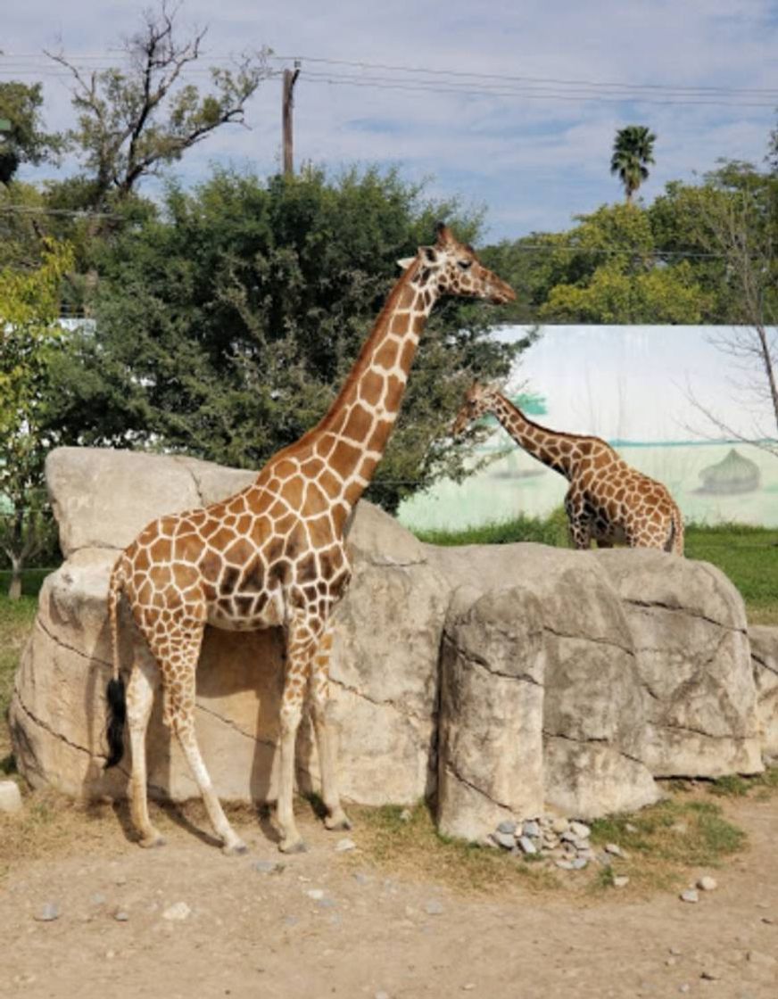 Lugar Zoológico Tamatán