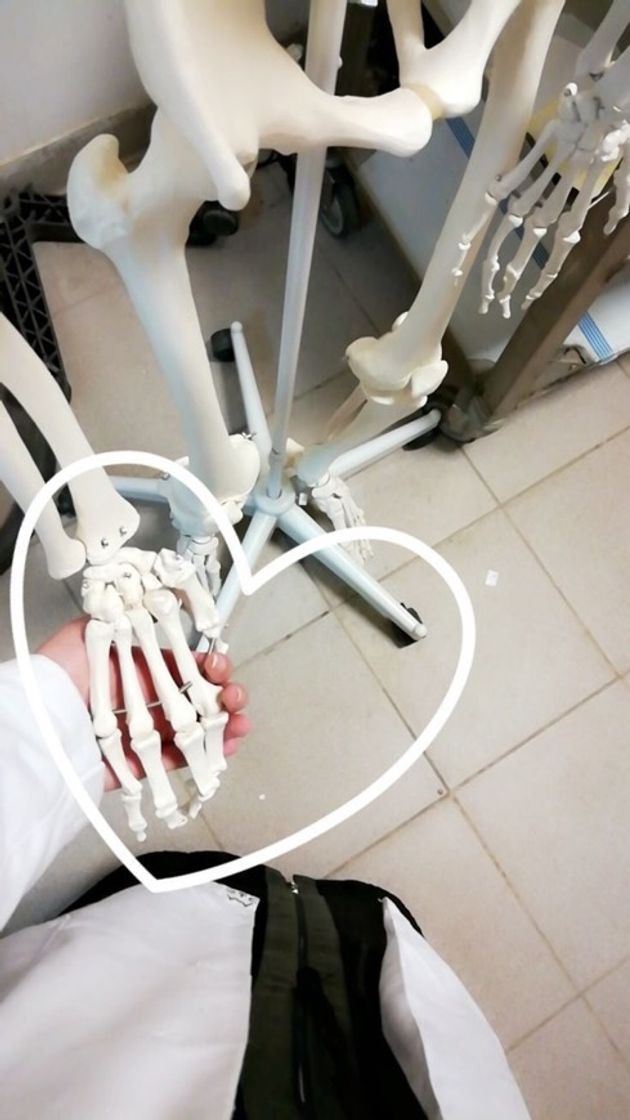 Social Amor à primeira vista 😂❤️