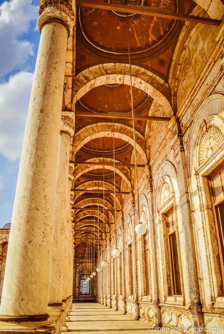 Social E G I T O 🇪🇬