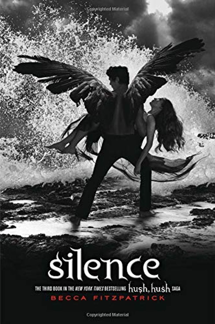 Book Silence