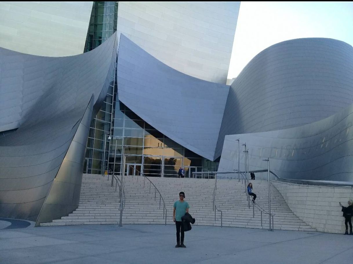 Place Walt Disney Concert Hall