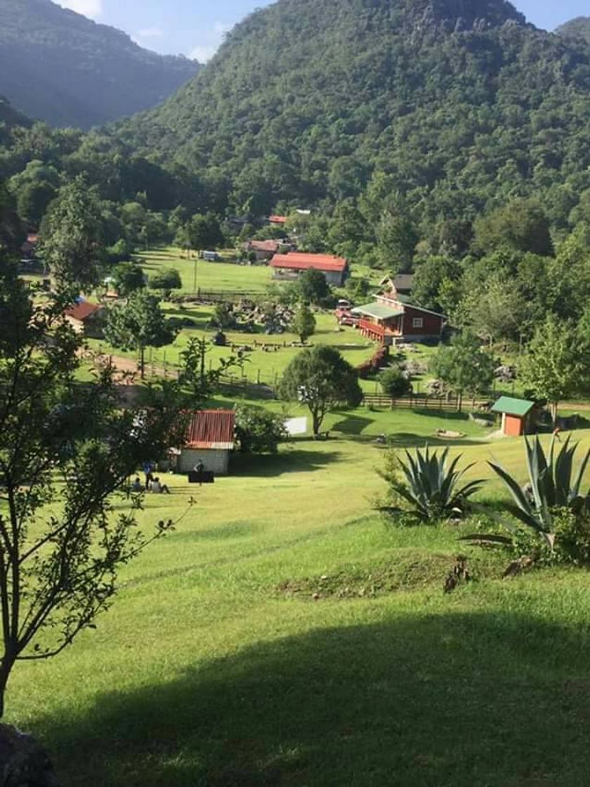 Place Gómez Farías