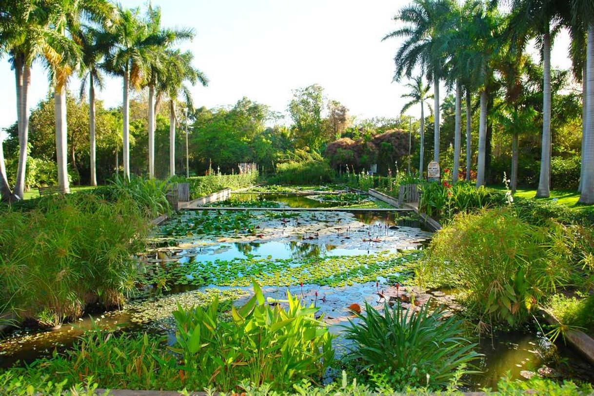 Place Jardín Botánico Culiacán