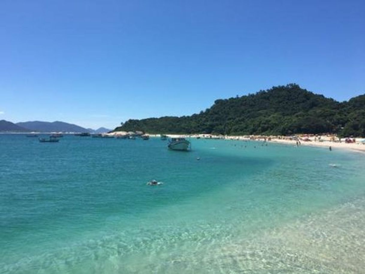 Social Ilha do Campeche - Santa Catarina