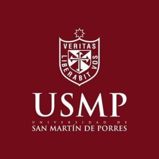 Universidad San martin