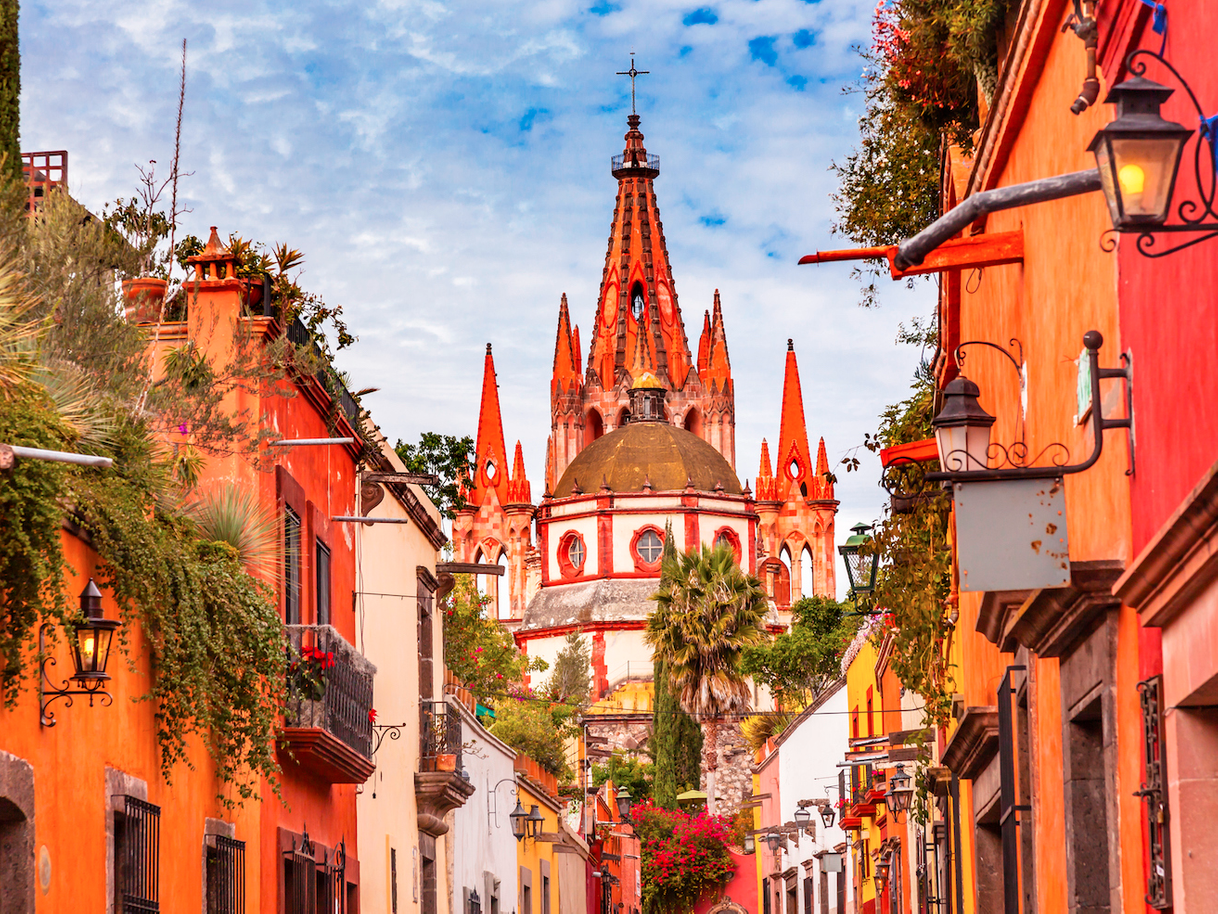 Place San Miguel de Allende