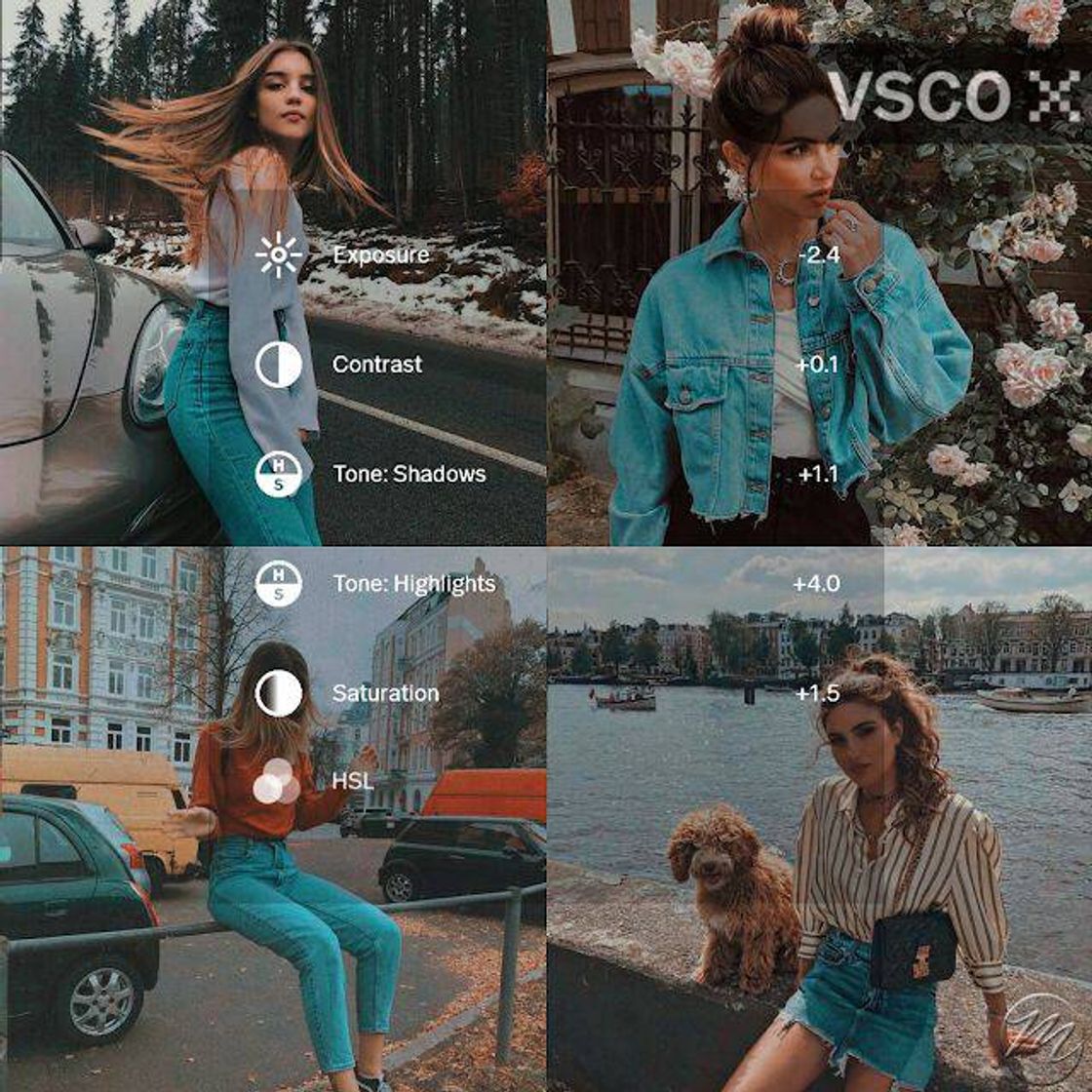 Moda VSCO Edition