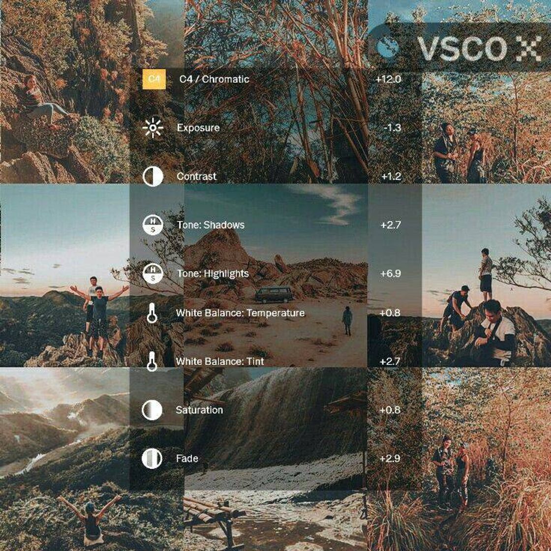 Social VSCO Edition