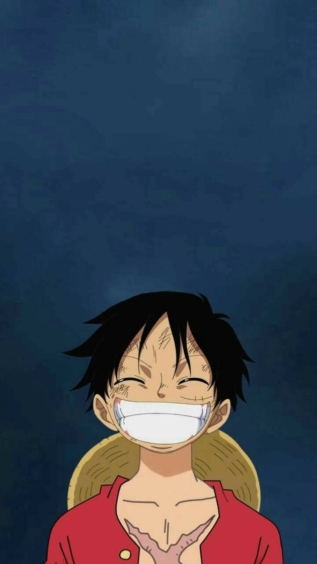 Fashion Monkey D. Luffy