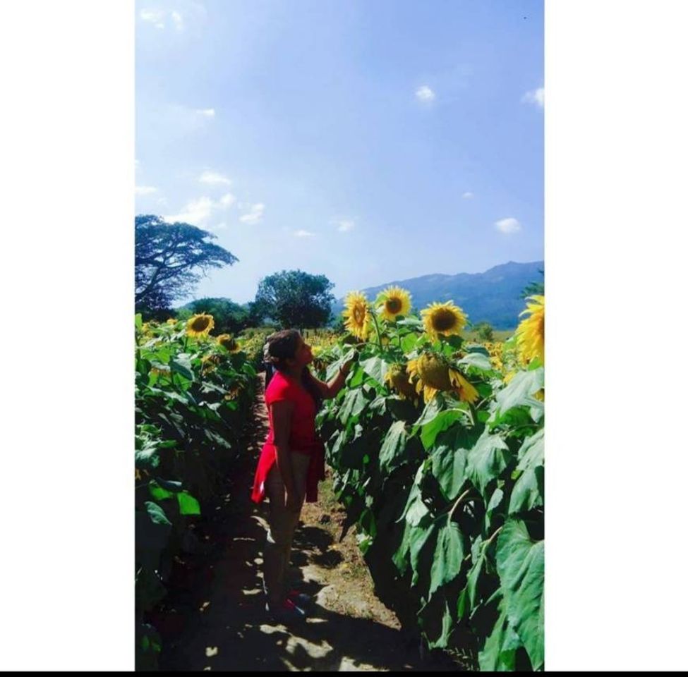 Lugar Finca Los Girasoles, Esquipulas