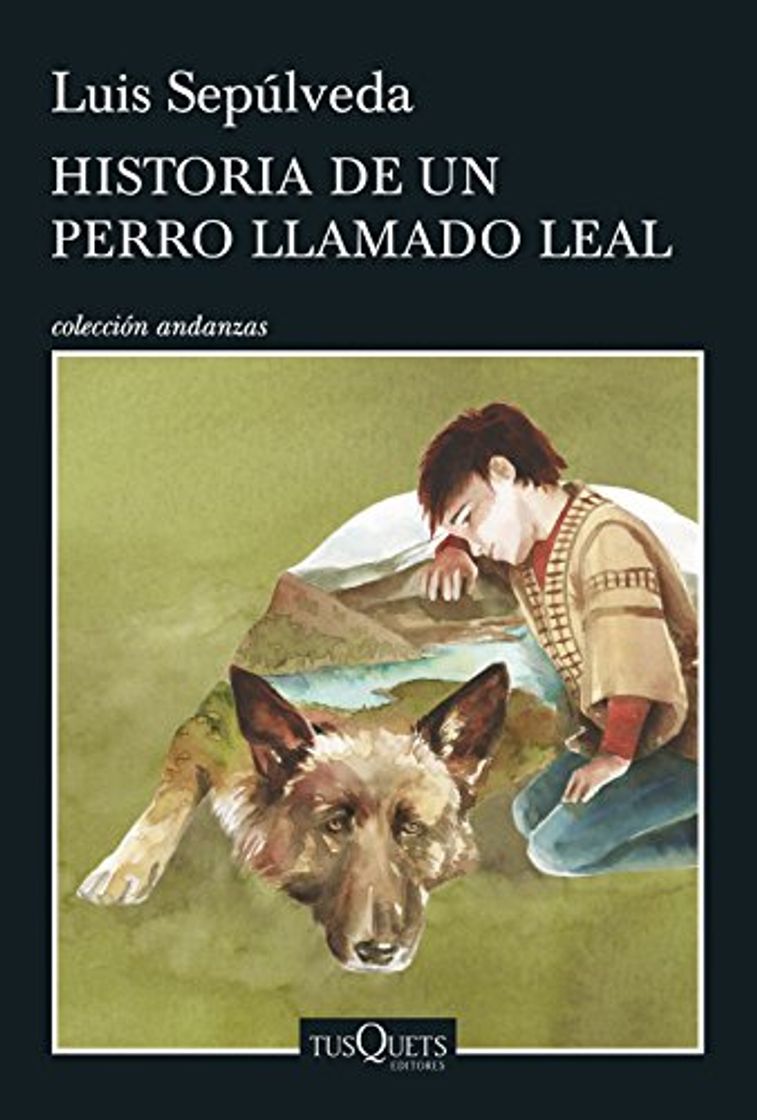 Book Historia de un perro llamado Leal: 11