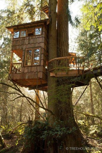 Treehouse