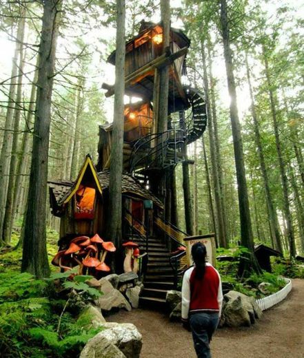 Treehouse