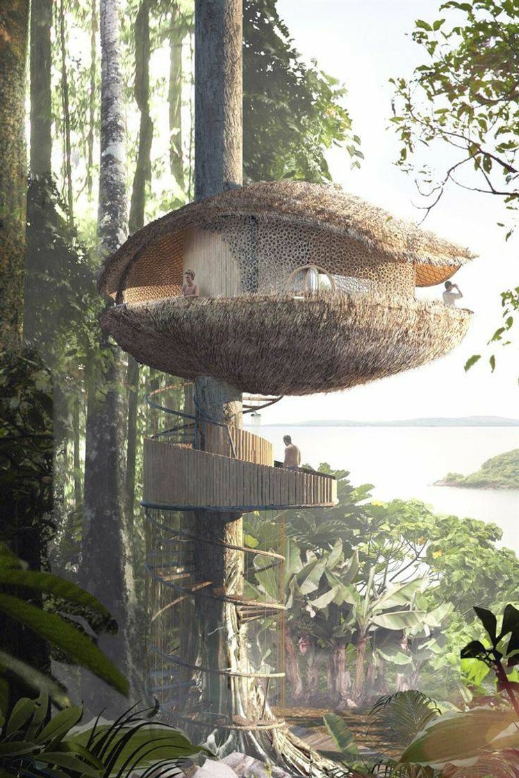 Fashion Treehouse