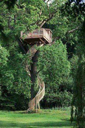 Treehouse