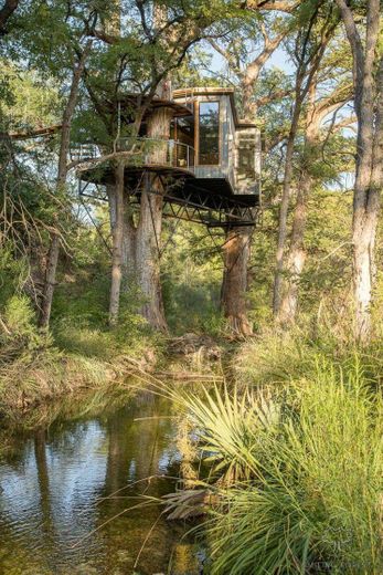 Treehouse