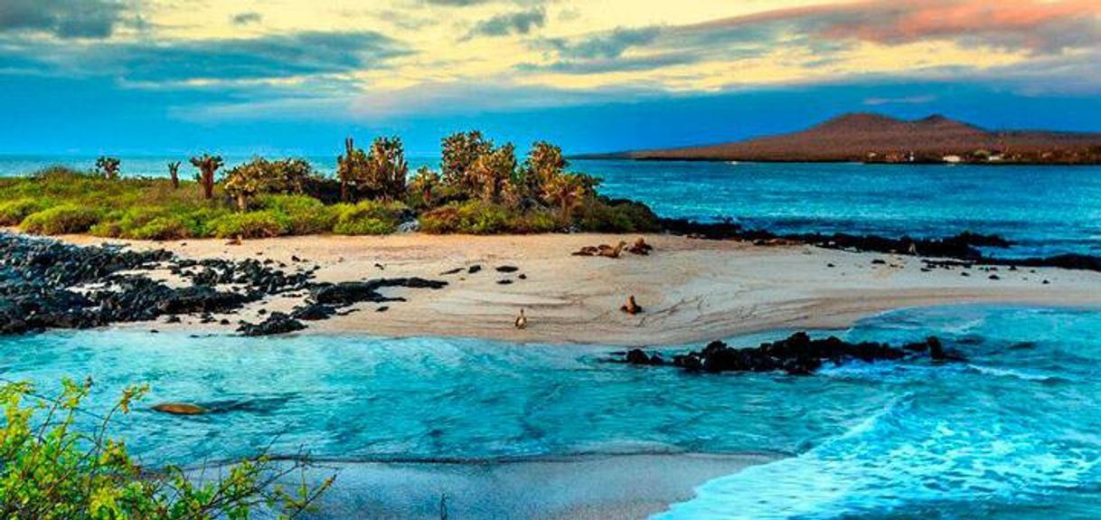 Place Galapagos