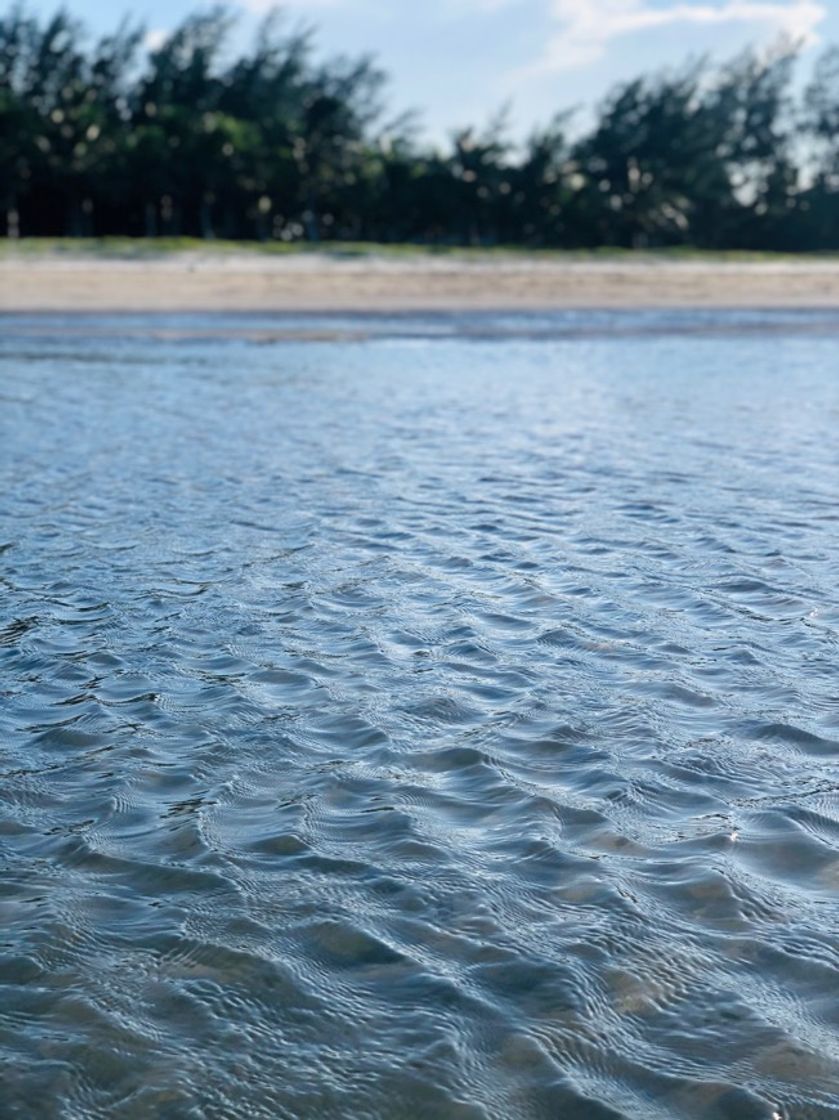 Lugar Playa de Tuxpan