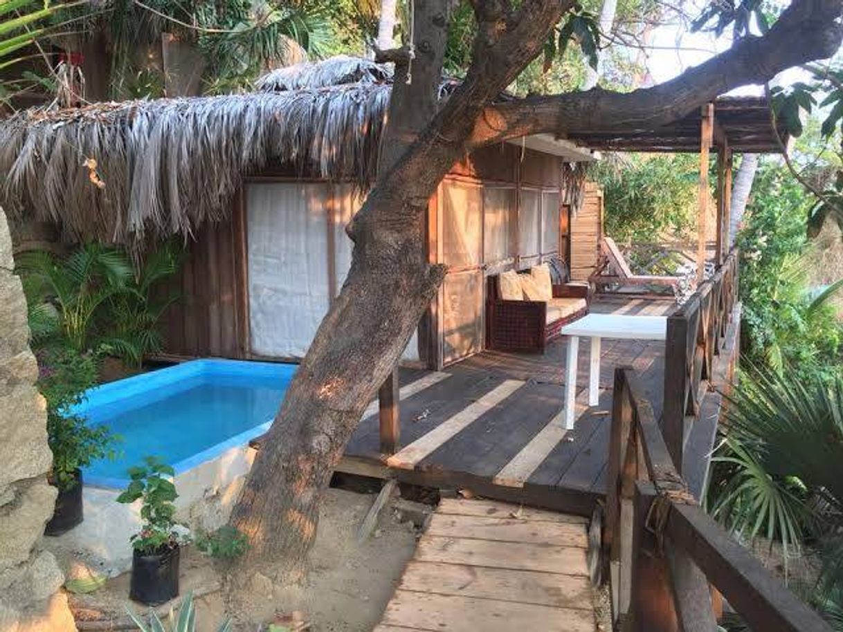 Lugar Cocos Camp