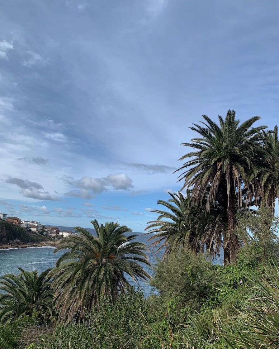 Place Bondi to Coogee Walk