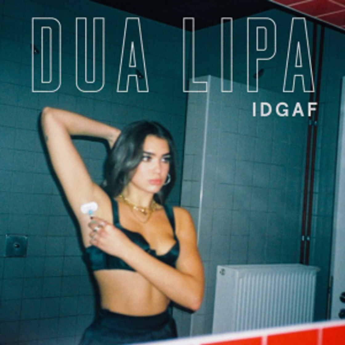 Canción IDGAF