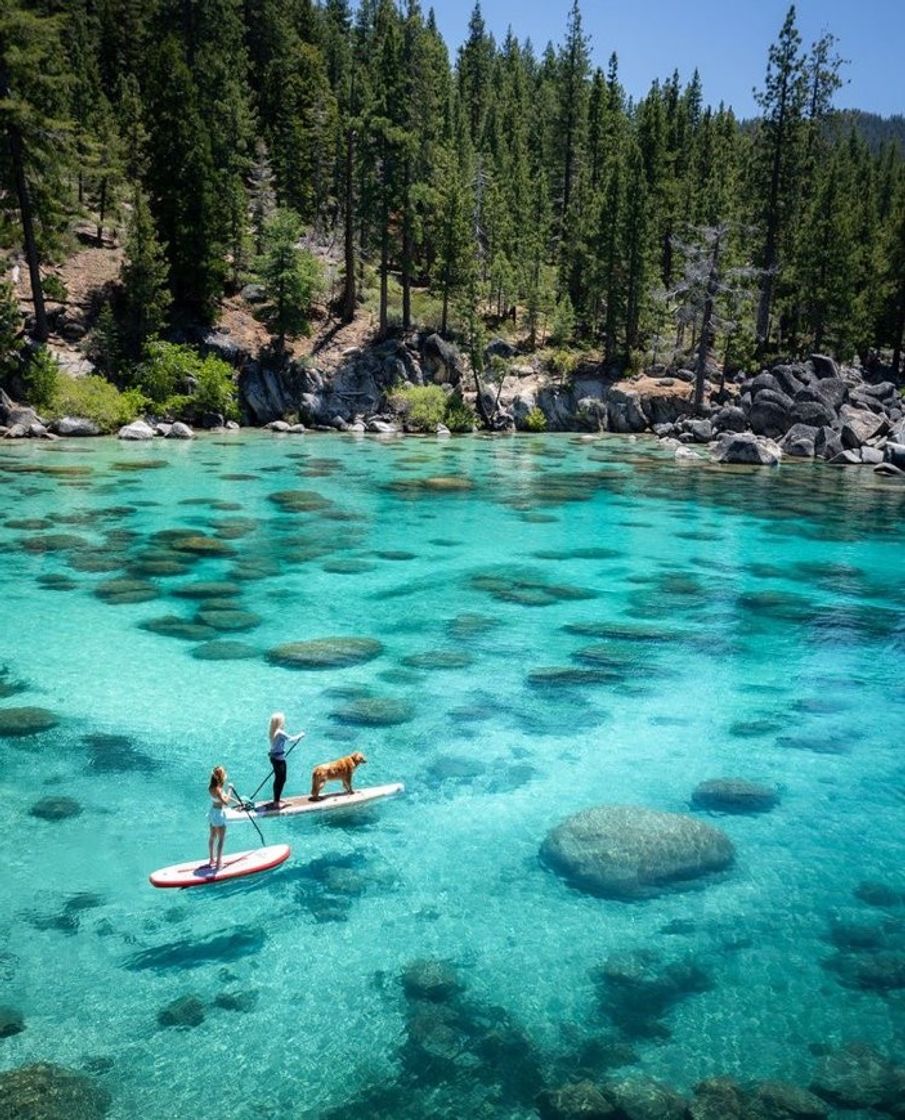 Moda Lake Tahoe ✨