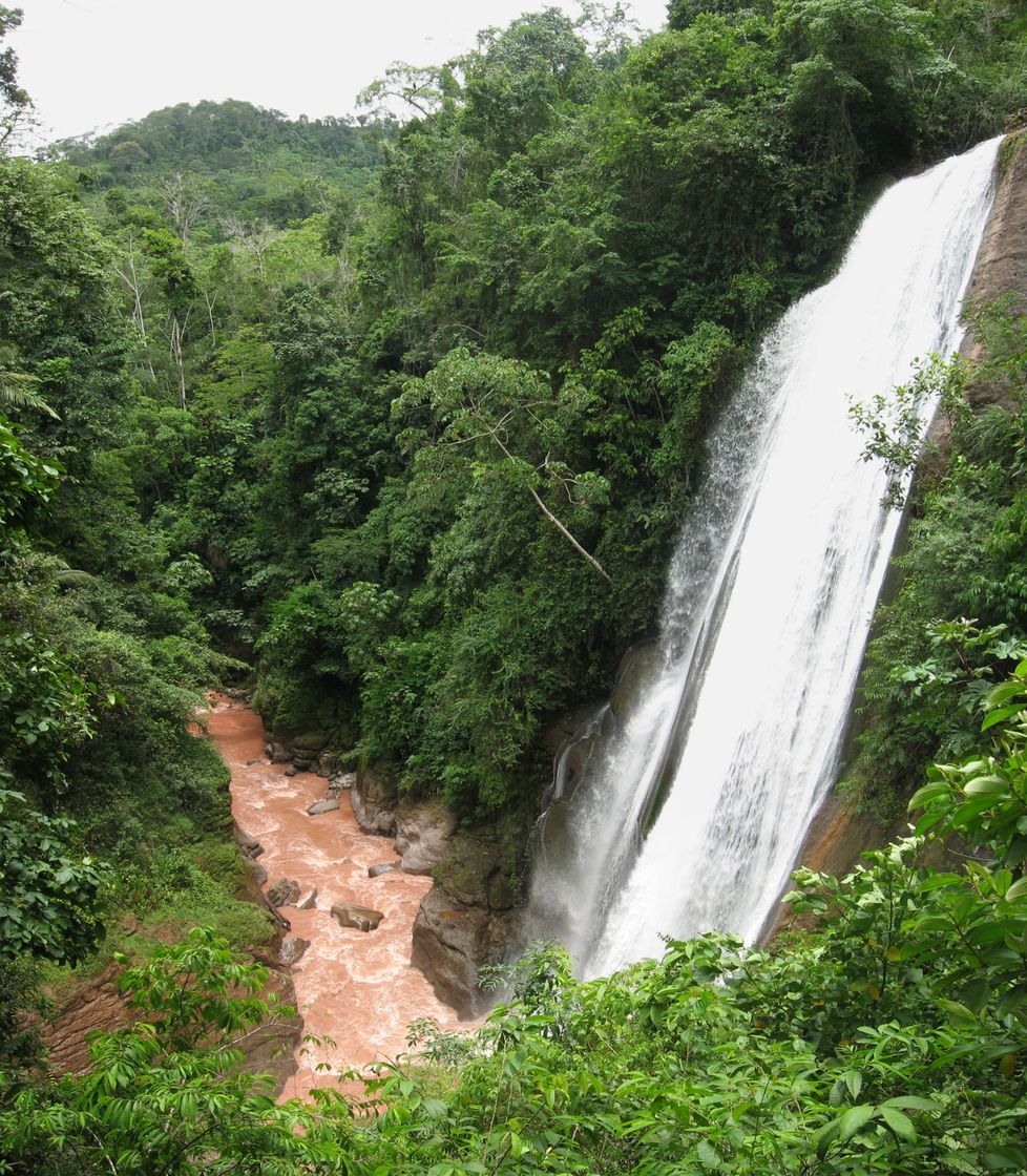 Catarata" Velo de la novia"