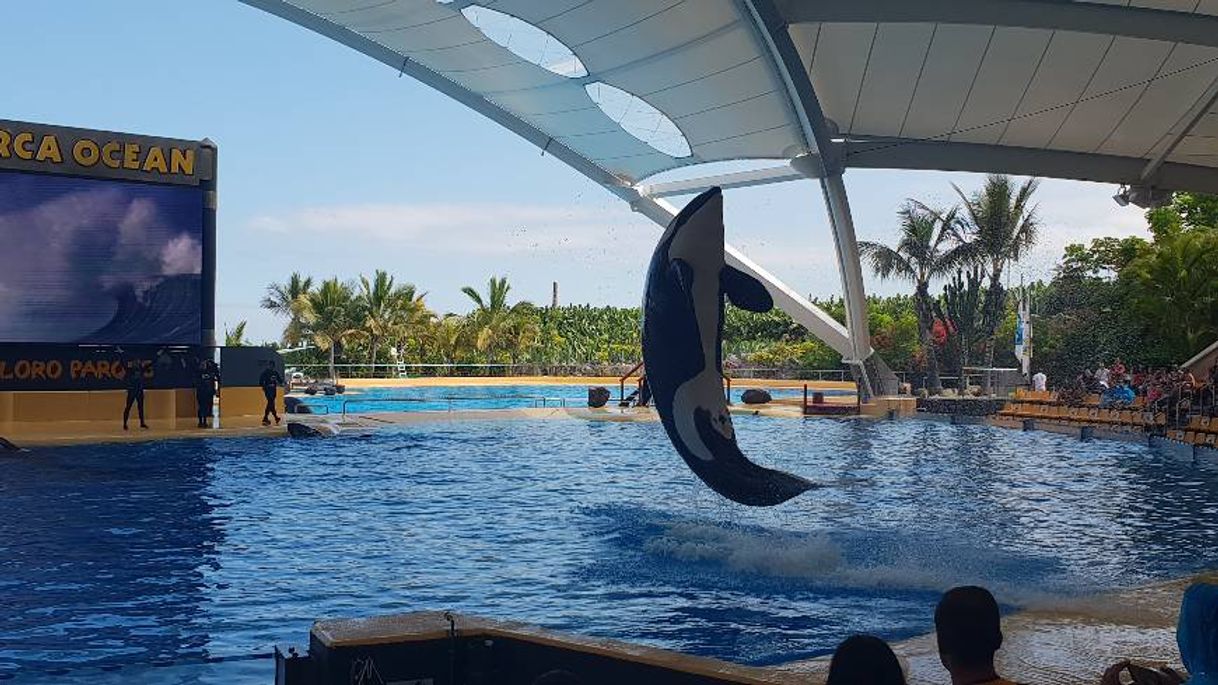 Place Loro Parque