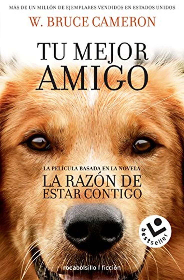 Libro La razón de estar contigo