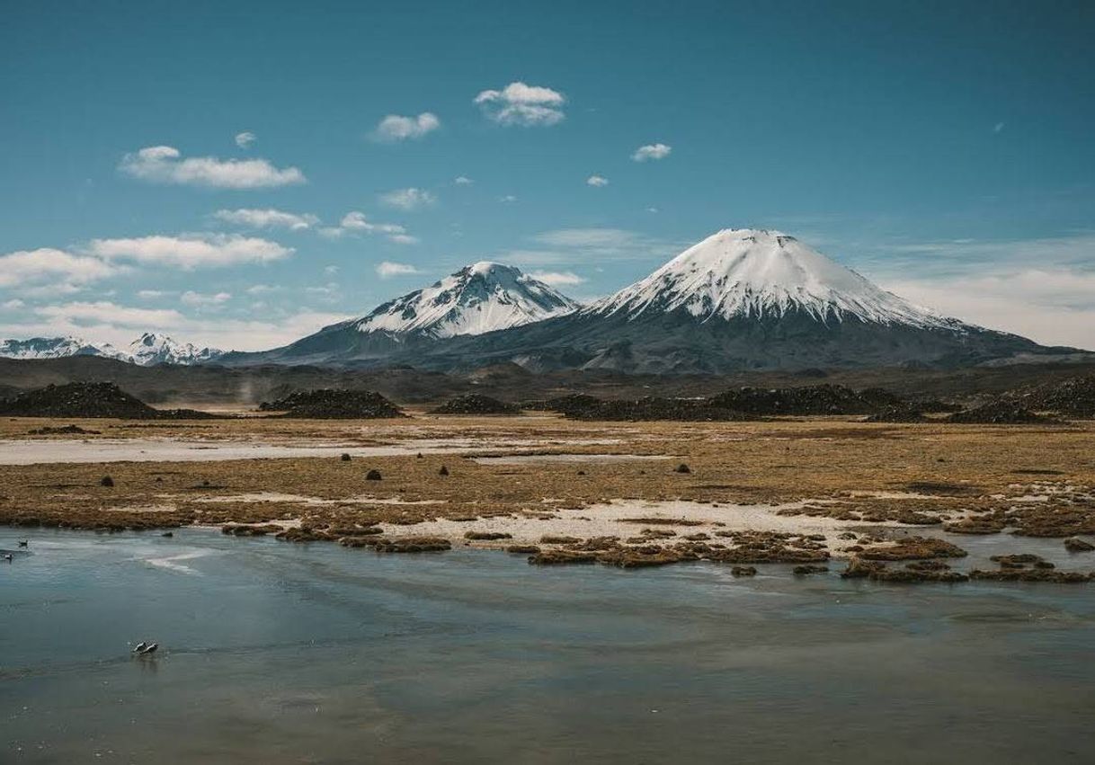 Place Parque Nacional Lauca