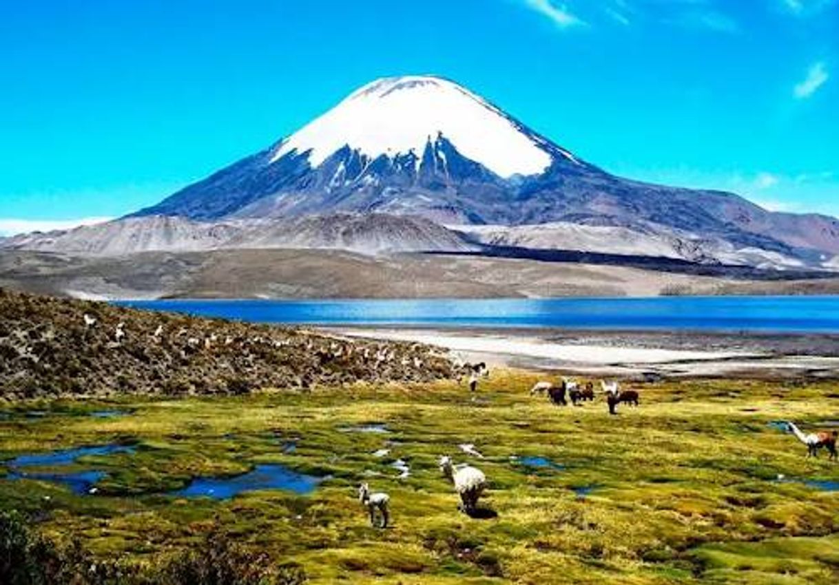 Place Lago Chungará