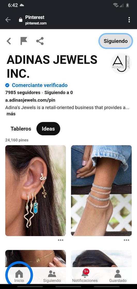 Social Adinasjewels