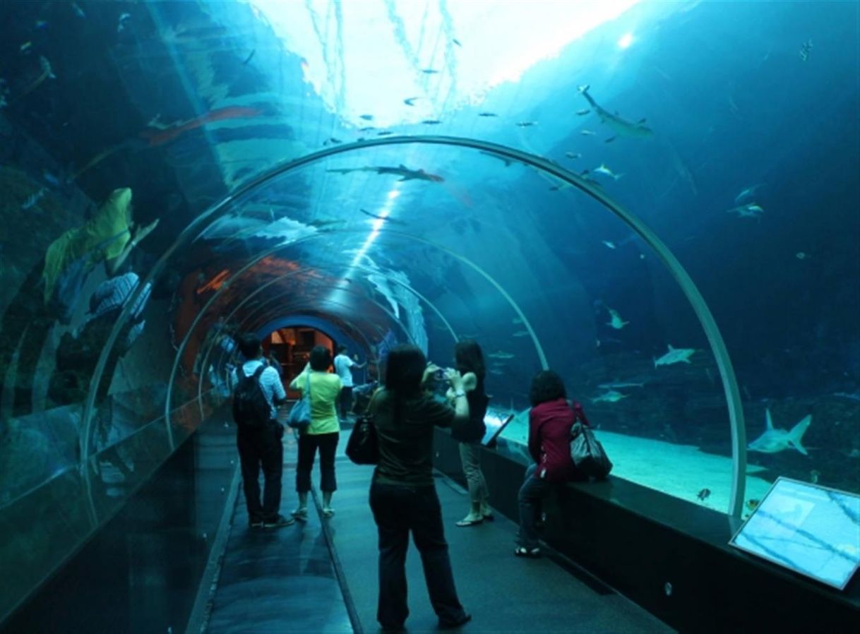 Place SEA LIFE Centre London Aquarium