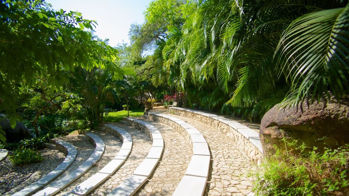 Lugar Jardin Botanico de Acapulco, A.C.