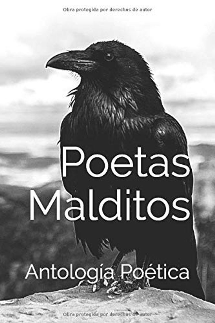 Book Poetas Malditos