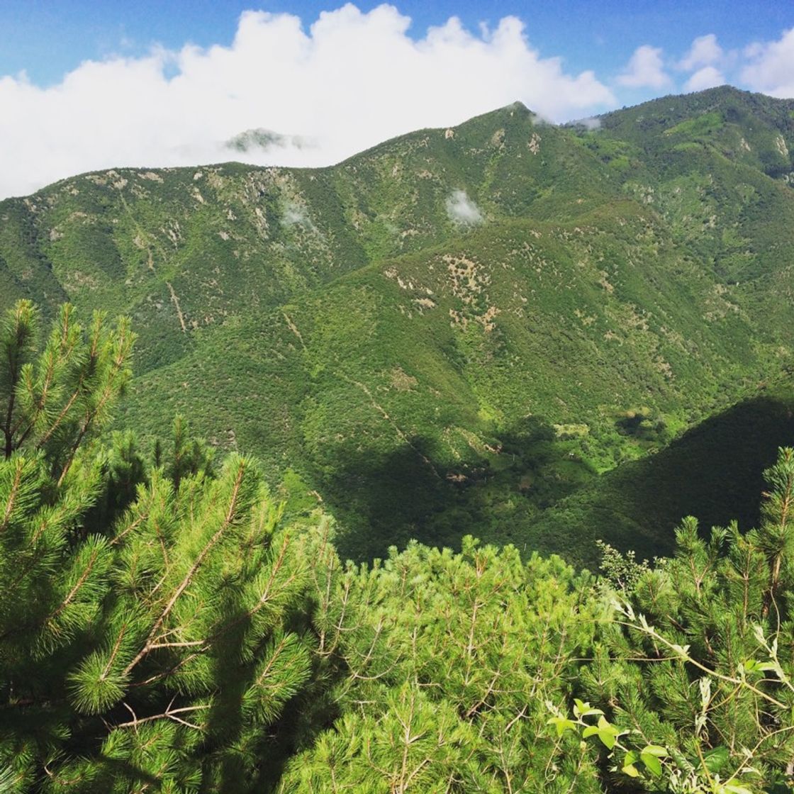 Lugar Sierra de Juárez