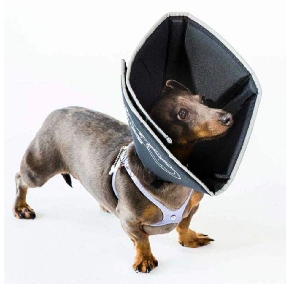 Social Cono para perro