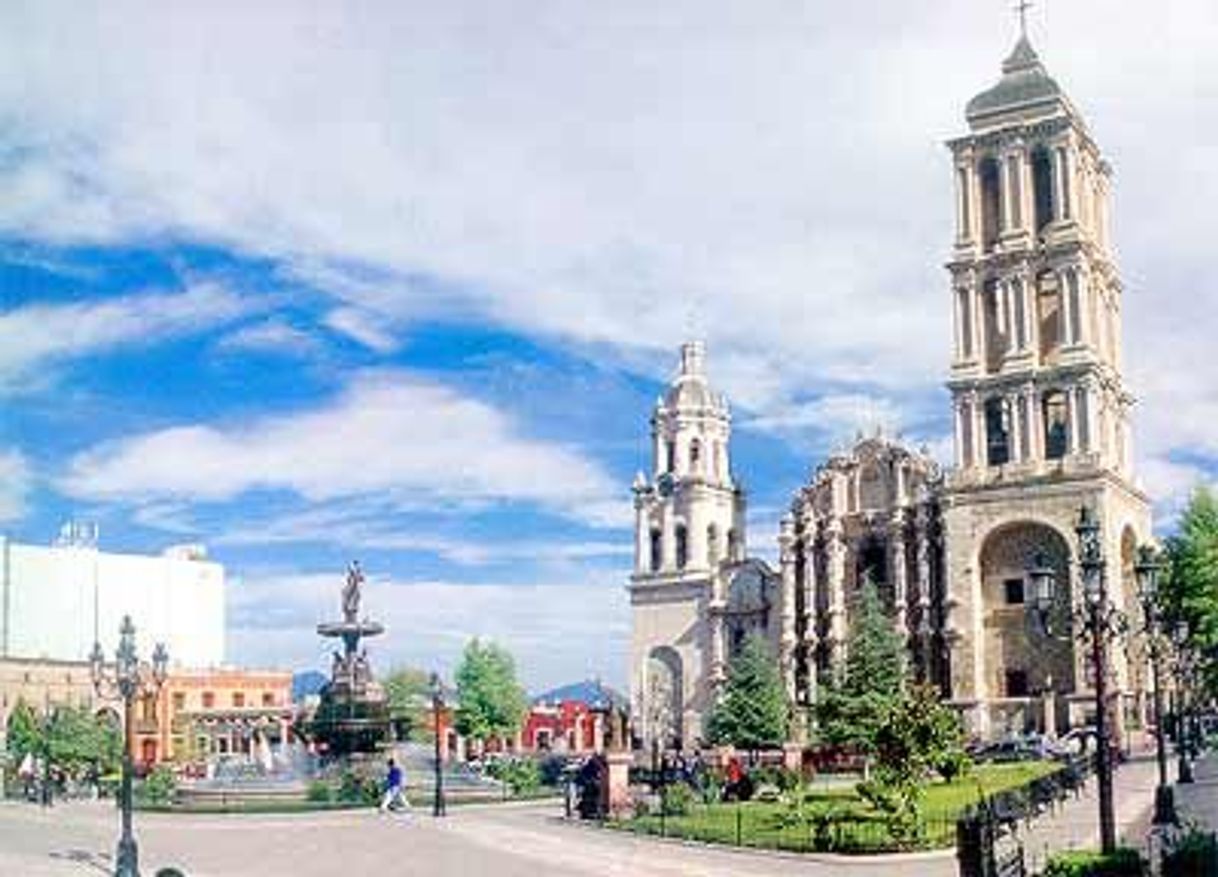 Place Saltillo