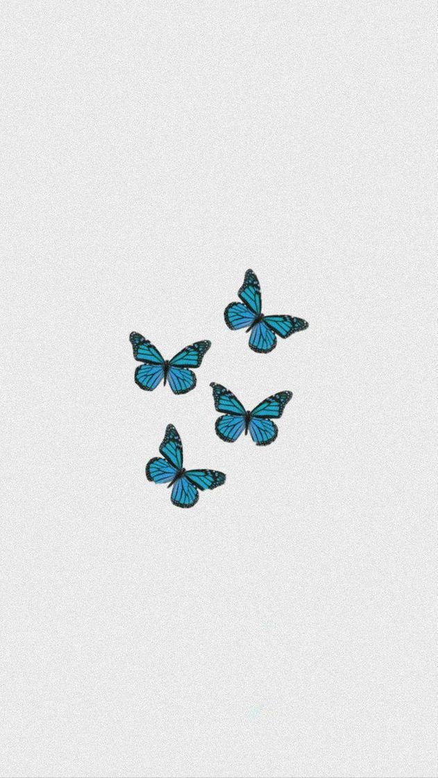 Fashion wallpaper blue butterfly 