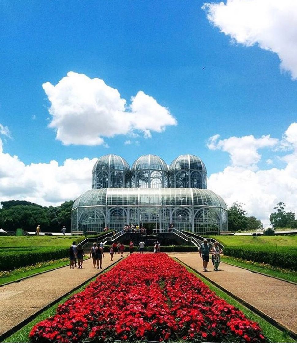 Lugar Jardim botânico 