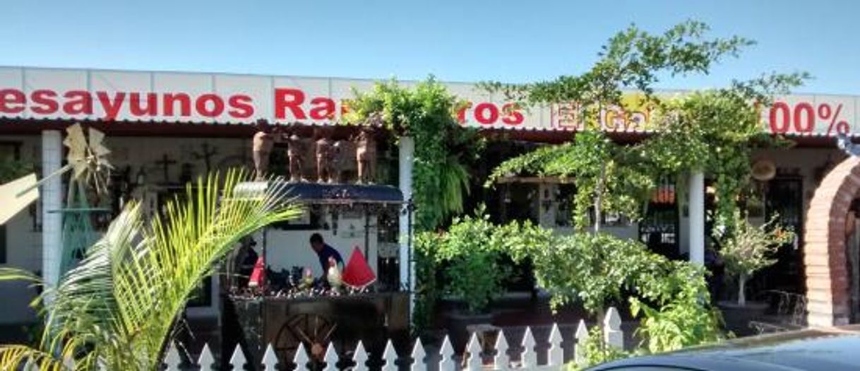 El Gallito Restaurante
