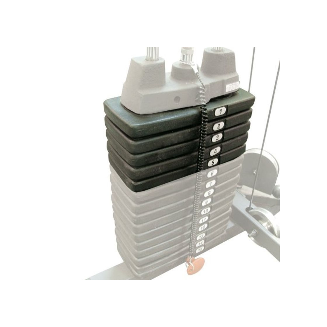 Social Body Solid Home Gym 50