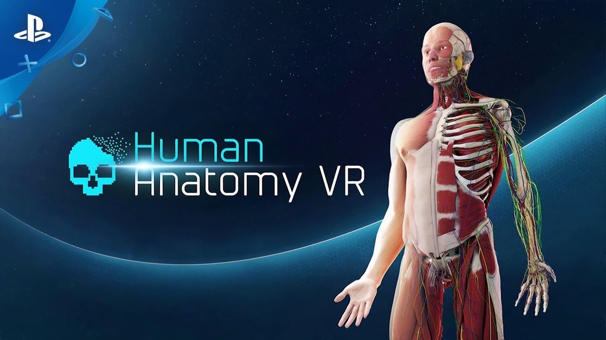 Videogames Human Anatomy VR