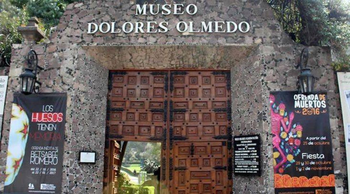 Lugar Museo Dolores Olmedo