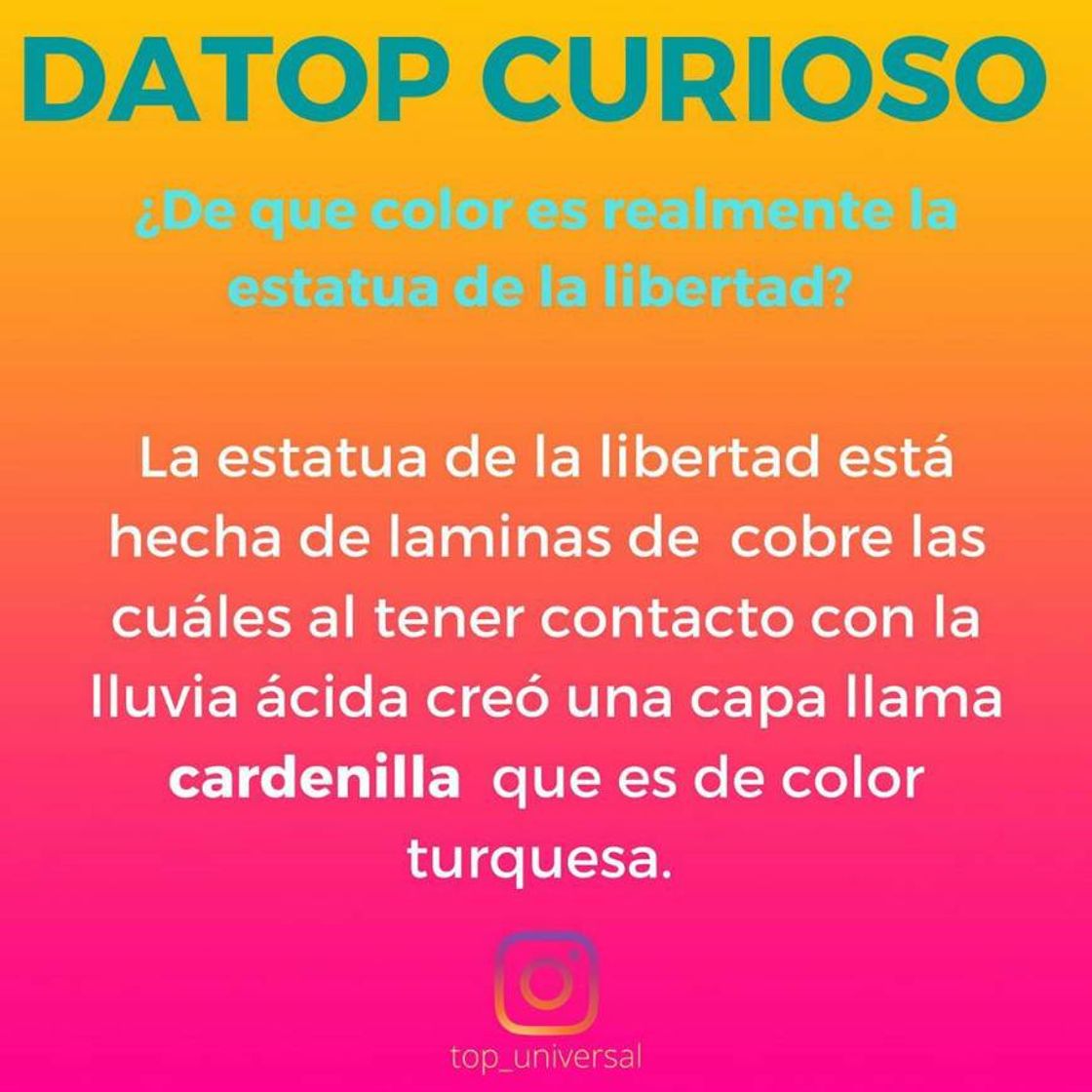 Fashion DATOP CURIOSO 