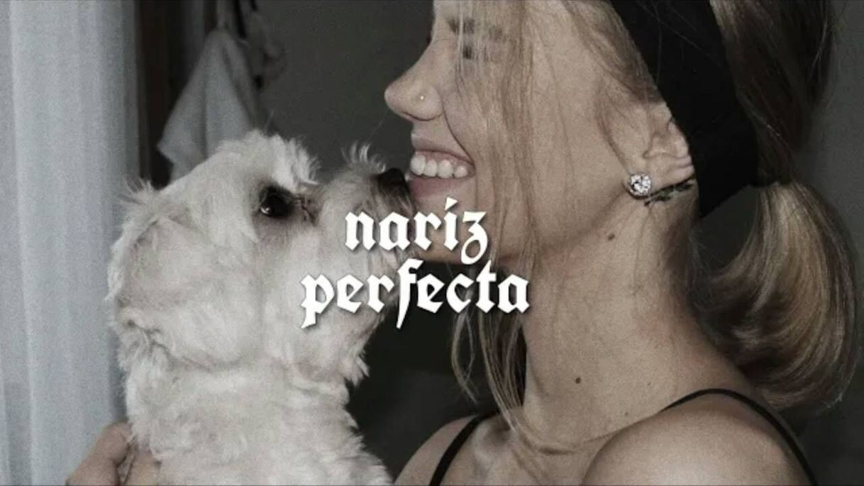 ❛ nariz perfecta (actualizado/exagerado);ᵘⁿᵃ ᵉˢᶜᵘᶜʰᵃ